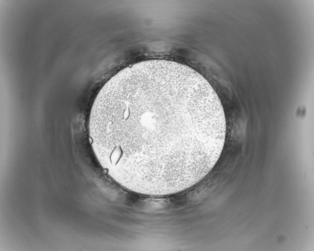 X0000093390711200711011311