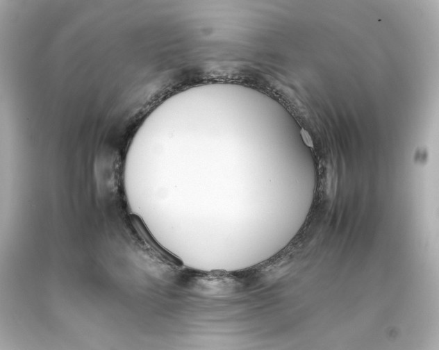 X0000093390712200711011311