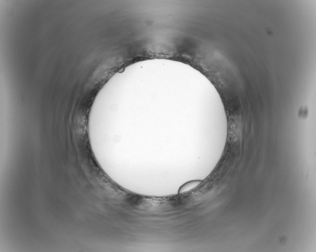 X0000093390713200711011311