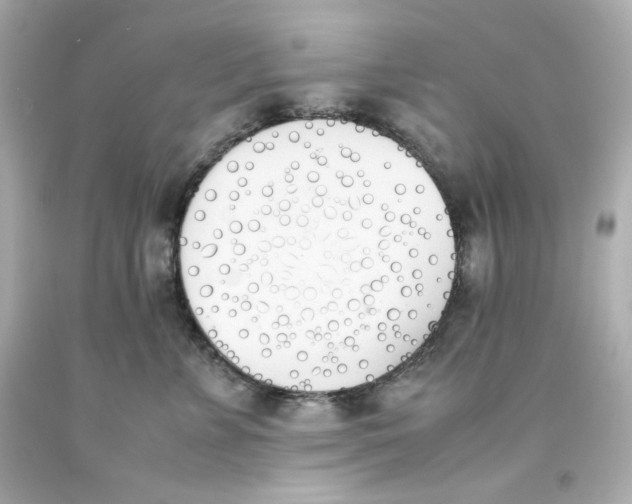 X0000093390715200711011311