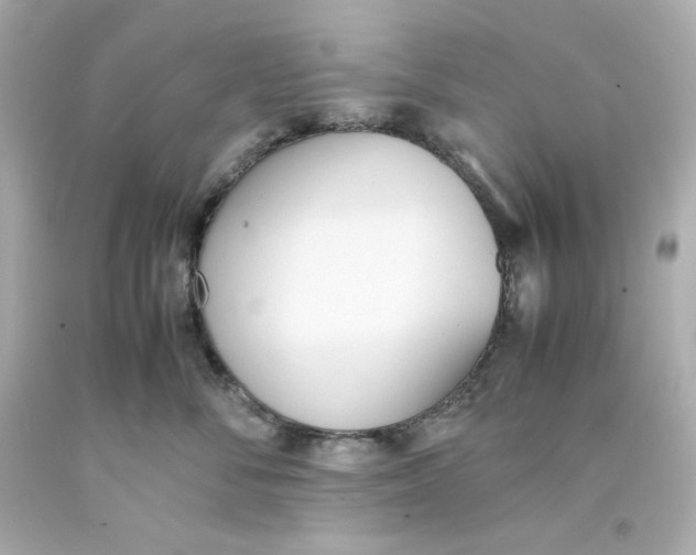 X0000093390716200711011311