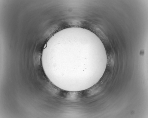 X0000093390717200711011311