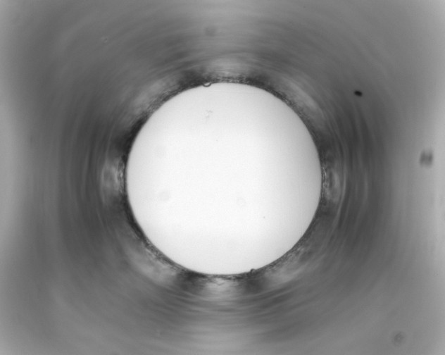 X0000093390718200711011311