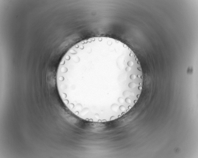 X0000093390719200711011311