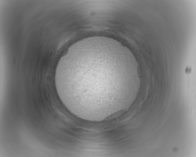 X0000093390720200711011311