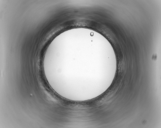 X0000093390722200711011310