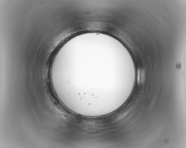 X0000093390723200711011310