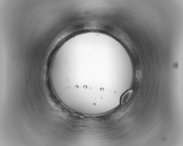 X0000093390724200711011310