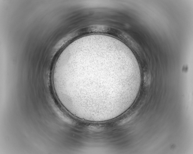 X0000093390725200711011310