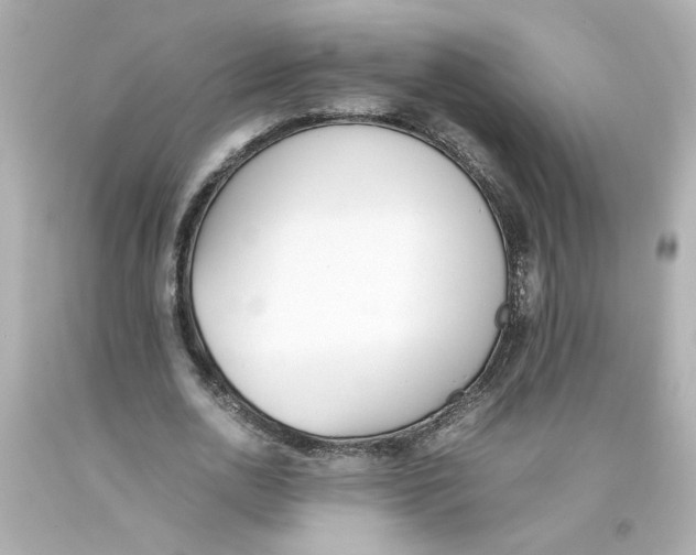 X0000093390726200711011310