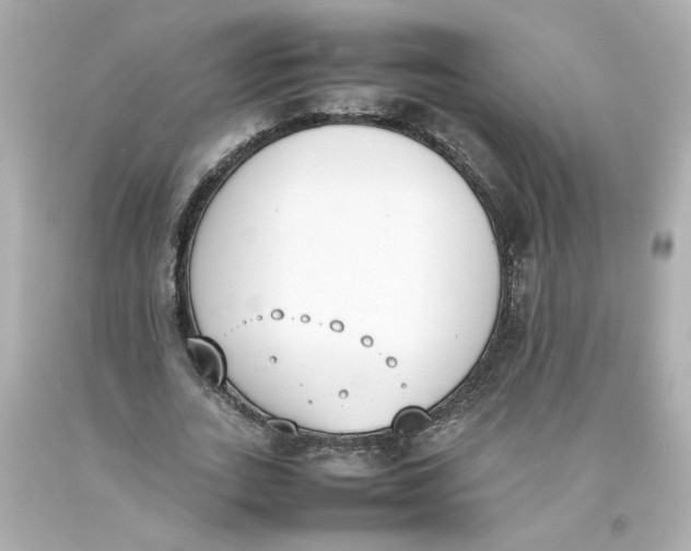 X0000093390727200711011310