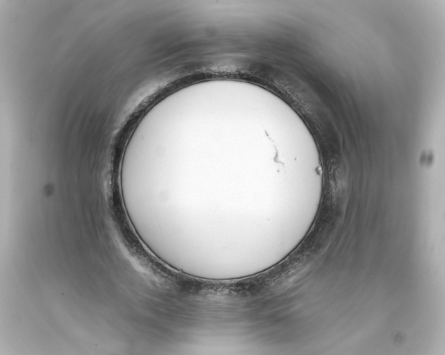 X0000093390728200711011310