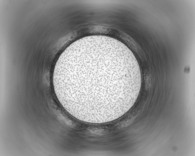 X0000093390729200711011310