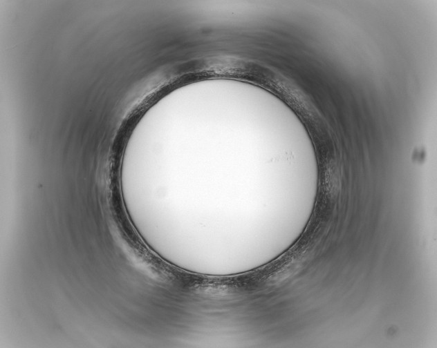 X0000093390730200711011310