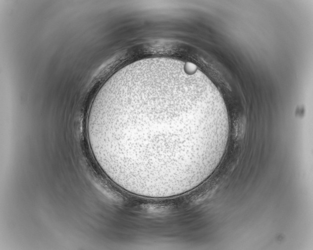 X0000093390733200711011310