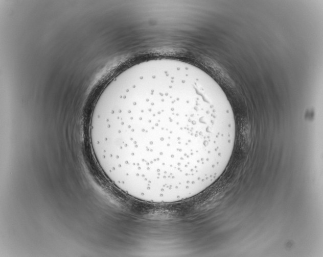 X0000093390734200711011310