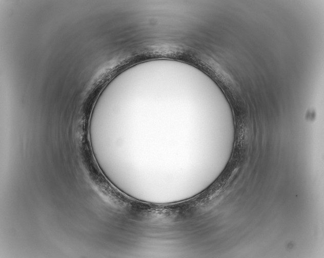 X0000093390736200711011310