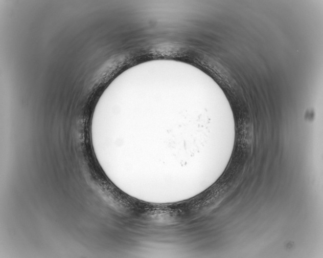 X0000093390738200711011310