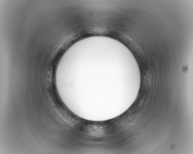 X0000093390739200711011311