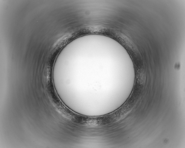 X0000093390740200711011311