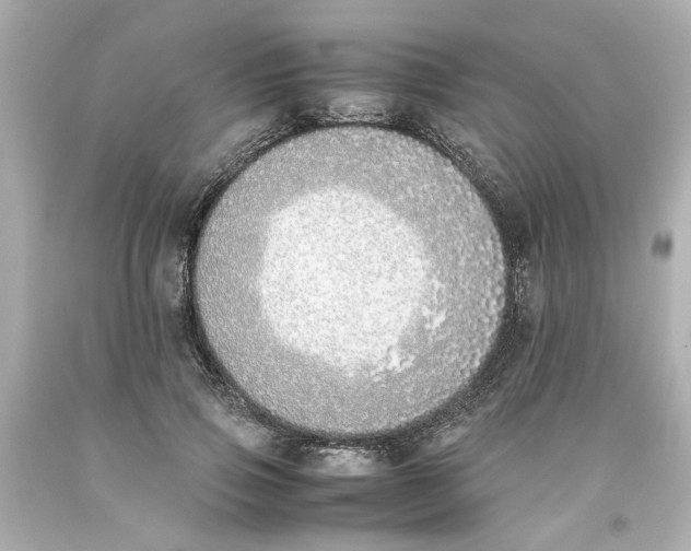 X0000093390741200711011311