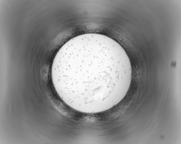 X0000093390742200711011311