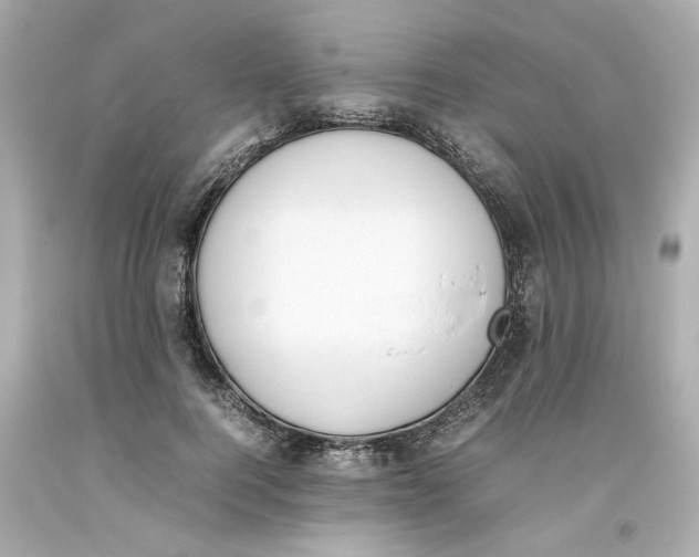 X0000093390744200711011311