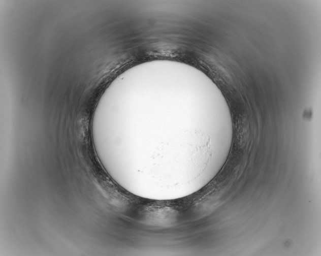 X0000093390747200711011311