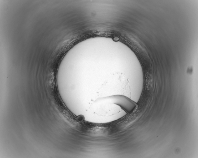 X0000093390748200711011311