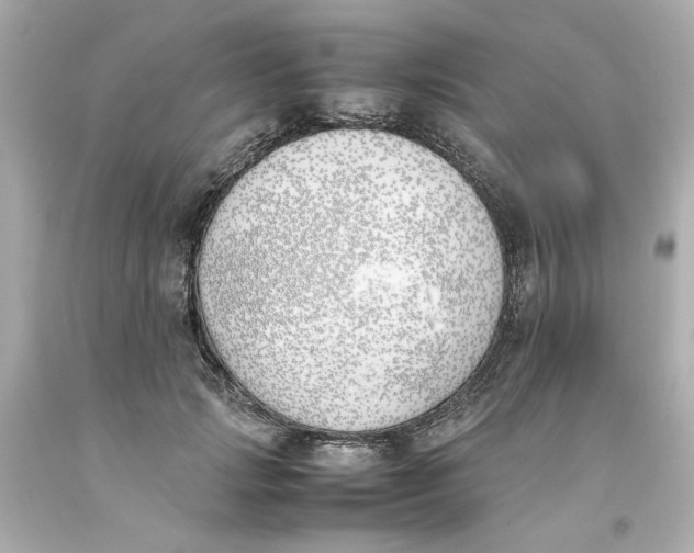 X0000093390749200711011311