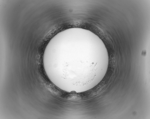 X0000093390750200711011311