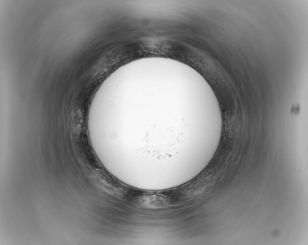 X0000093390752200711011311