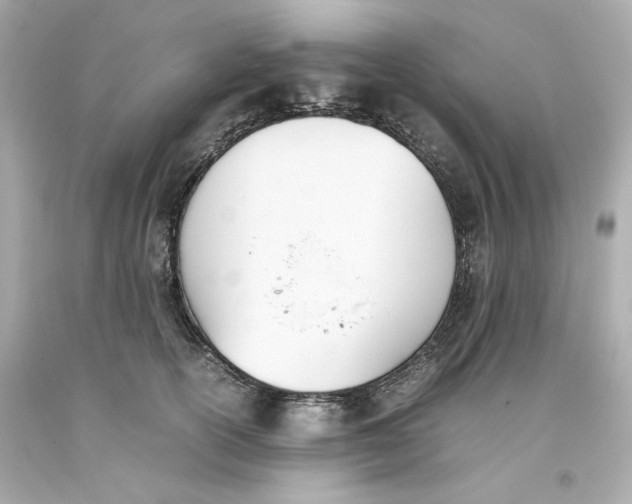 X0000093390754200711011311