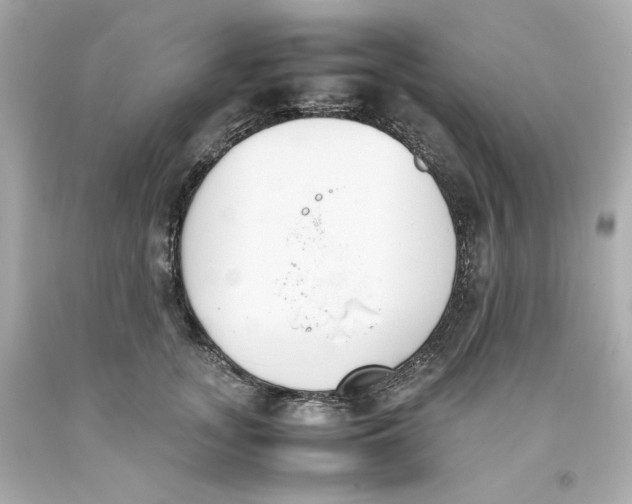 X0000093390755200711011311