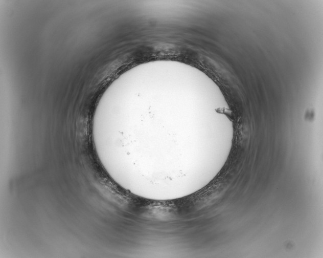 X0000093390756200711011311