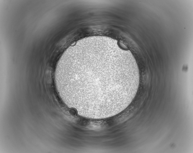 X0000093390757200711011311