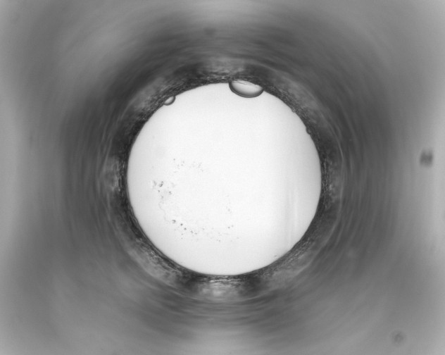 X0000093390758200711011311