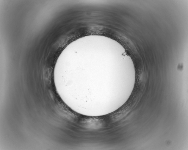 X0000093390759200711011311