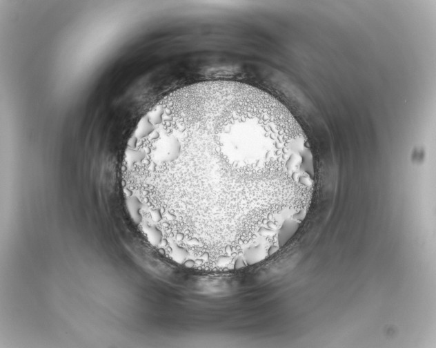 X0000093390761200711011311