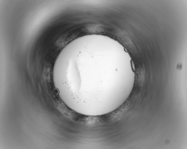 X0000093390762200711011311