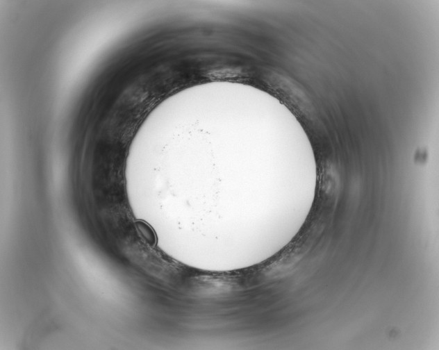 X0000093390763200711011311