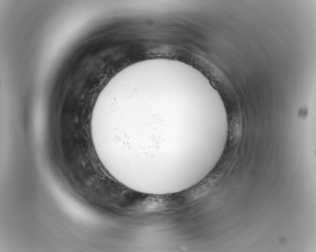 X0000093390764200711011311