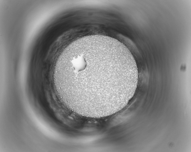 X0000093390765200711011311