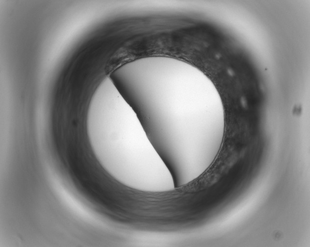 X0000093390766200711011311