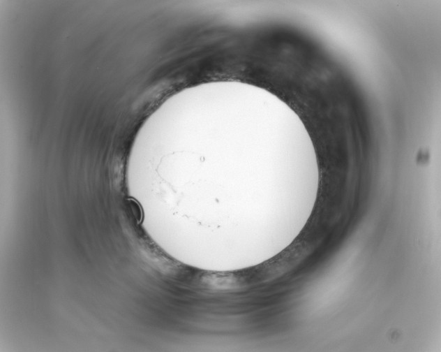 X0000093390767200711011311