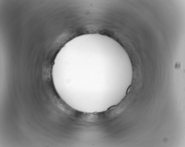 X0000093390768200711011311