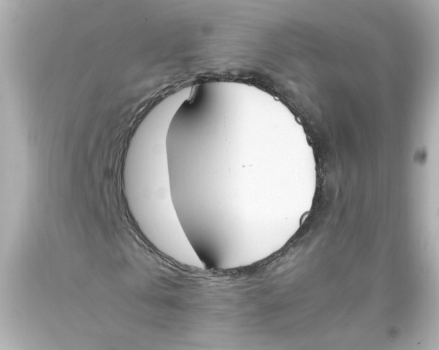 X0000093390769200711011310