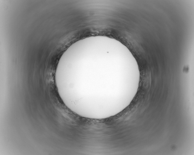 X0000093390770200711011310