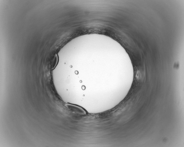 X0000093390771200711011310