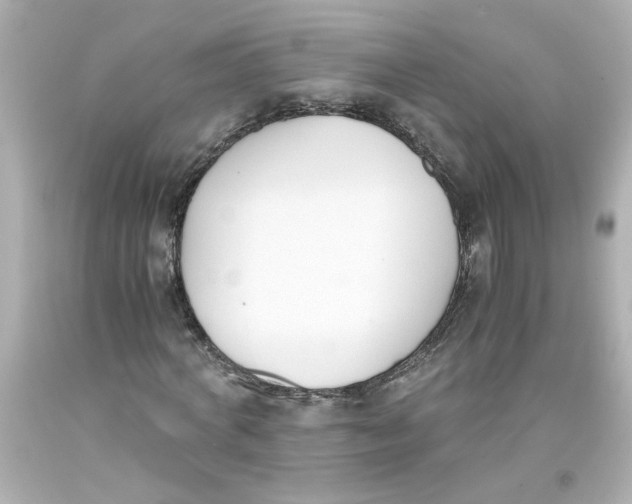 X0000093390772200711011310